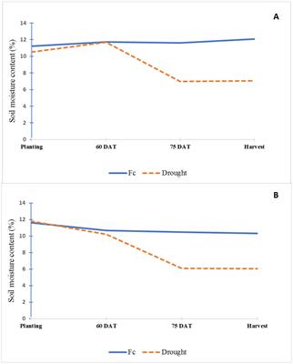 Effect of arbuscular mycorrhiza and rhizobium on physiology and yield of peanut under drought conditions